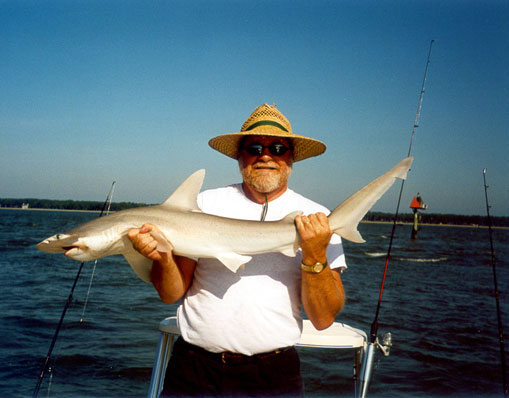 Hilton Head South Carolina Fishing Trip August 2001 Chuck Niquette Hilton Head South Carolina Fishing Trip August 2001 Chuck Niquette